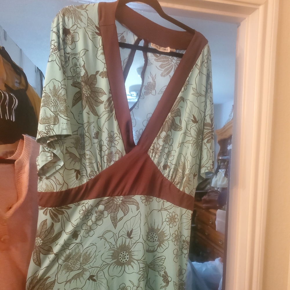 Erica Brooke Turquoise & Brown Dress